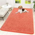 OLANLY Dog Door Mat for Muddy Paws 59x35, Absorbs Moisture and Dirt, Absorbent Non-Slip Washable Doormat, Quick Dry Chenille Mud Mat for Dogs, Entry Indoor Entryway Carpet for Inside Floor, Coral by OLANLY