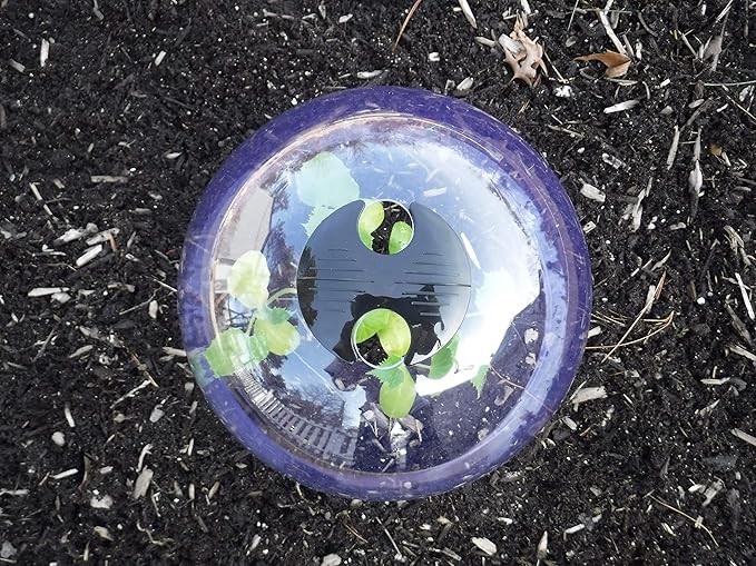 6-Pack! GrowAway Medium Reusable Plastic Mini Greenhouse, Cloche Dome, Plant Covers for Frost Guard Freeze Protection Outdoors, Garden Tools and Accessories - 10.24"Diam. x 7.48"H - Image 4