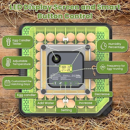 48 Egg Incubator for Hatching Eggs with Automatic Egg Turning, Temperature & Humidity Control, Egg Incubator with 360° View Window and Egg Candler, Incubator for Chicken, Duck, Quail Eggs - Image 2