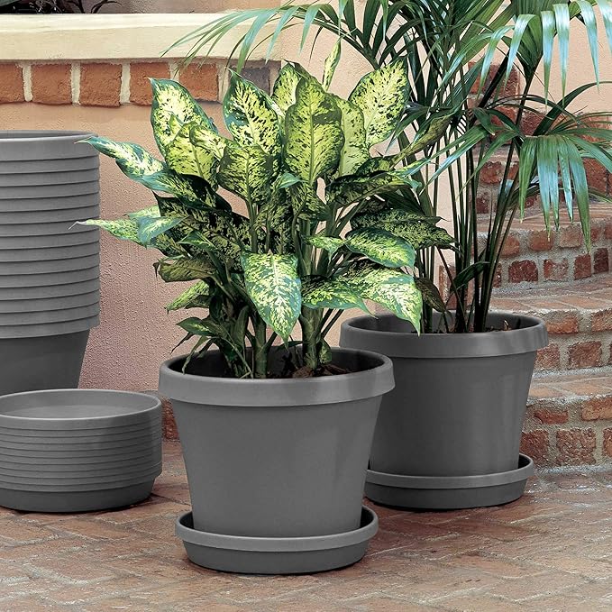 Bloem Terra Resin Saucer Tray: 8" Bottom Width - Charcoal Gray - Matte, Durable, Ribbed Bottom, Indoor and Outdoor, Fits 10" Terra Planters - Image 5