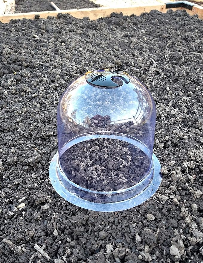 6-Pack! GrowAway Small Reusable Plastic Mini Greenhouse, Garden Cloche Dome, Plant Covers Frost Guard Freeze Protection for Plants Outdoors, Garden Tools, Garden Accessories - 7.87" Diam. x 6.69" H - Image 4