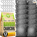 Charcoal Odor Absorber for Strong Odor (Large, 12 Pack, 100g each), Perfect for Smelly Shoes, Bamboo Charcoal Air Purifying Bag, Activated Charcoal Odor Absorber for Closet, Shoe, Car, Odor Deodorizer by BASICCONCEPTS