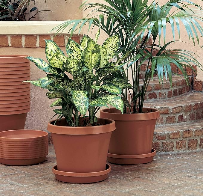 Bloem Terra Resin Saucer Tray: 9.25" Bottom Width - Chocolate Brown - Matte, Durable, Ribbed Bottom, Indoor and Outdoor, Fits 12" Terra Pots - Image 5